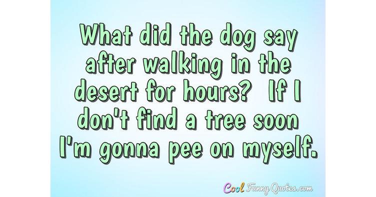 What did the dog say after walking in the desert for hours? If I don't find  a ...