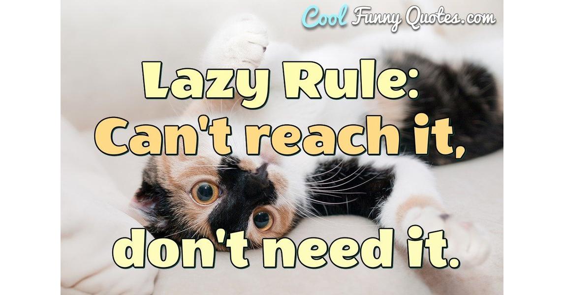 Details about   Funny Lazy Rule Coffee Mug Lazy Rule Can't Reach It Don't Need It 