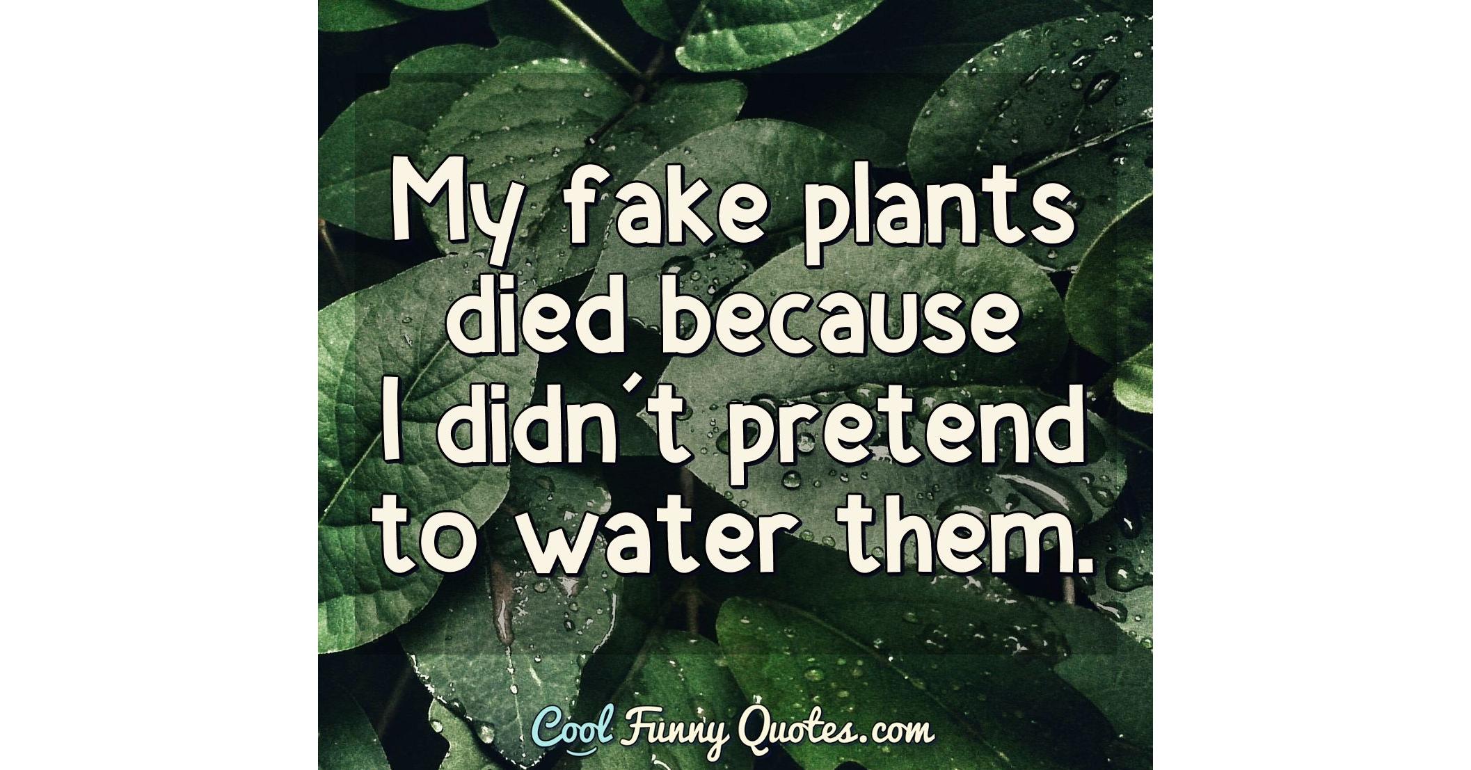 My fake plants died because I didn't pretend to water them.