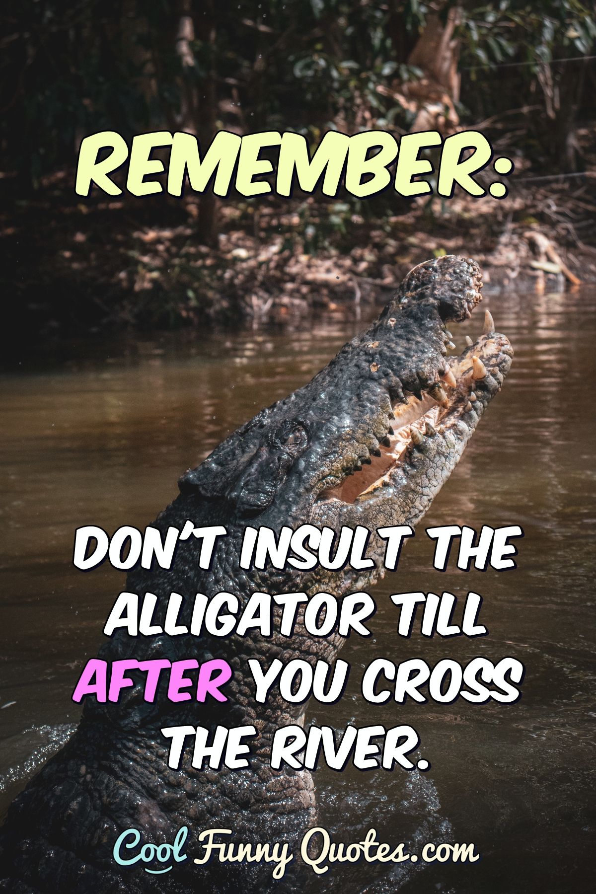 Remember: Don't Insult the Alligator till after you cross the river.