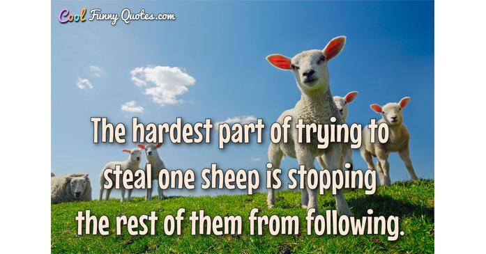 The hardest part of trying to steal one sheep is stopping the rest of