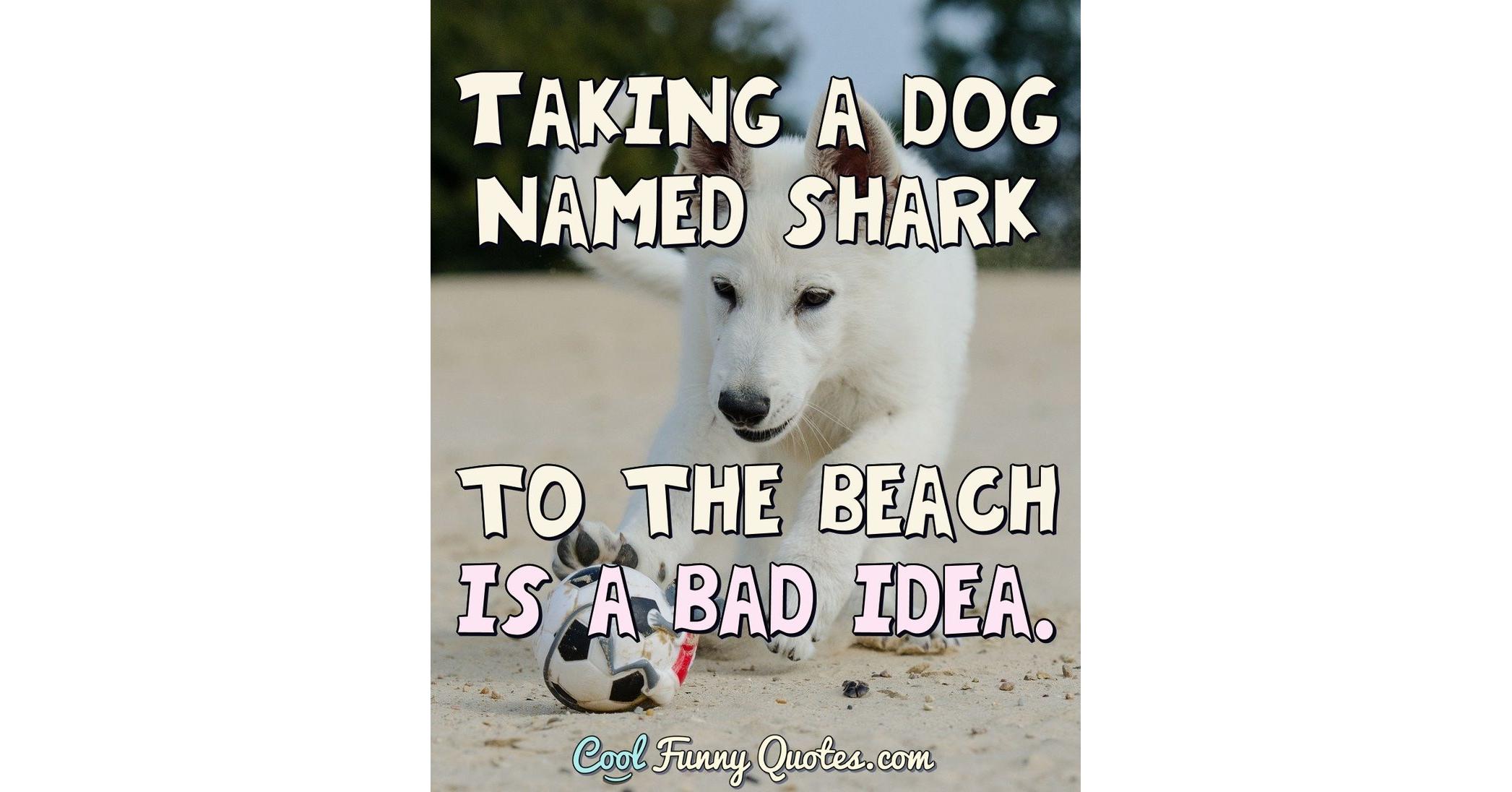 Taking a dog named shark to the beach is a bad idea.