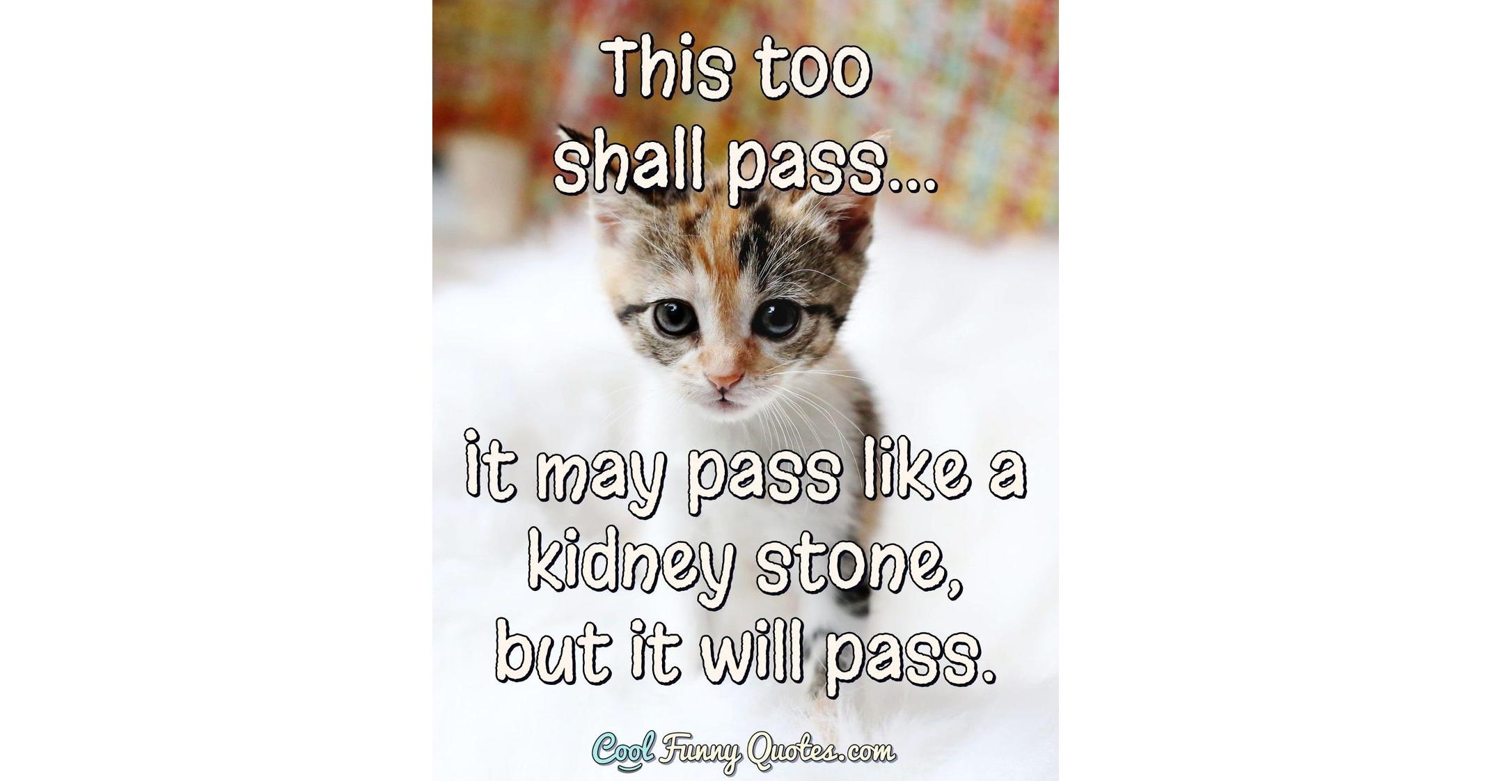 This too shall pass... It may pass like a kidney stone, but it will pass. This too shall pass... It may pass like a kidney stone, but it will pass.