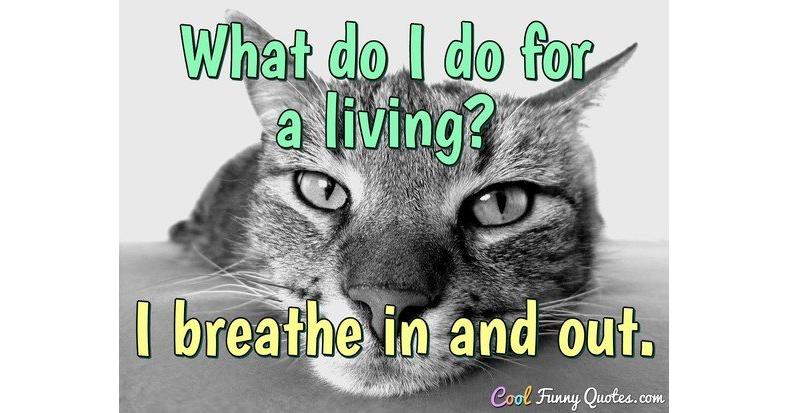 What do I do for a living? I breathe in and out.