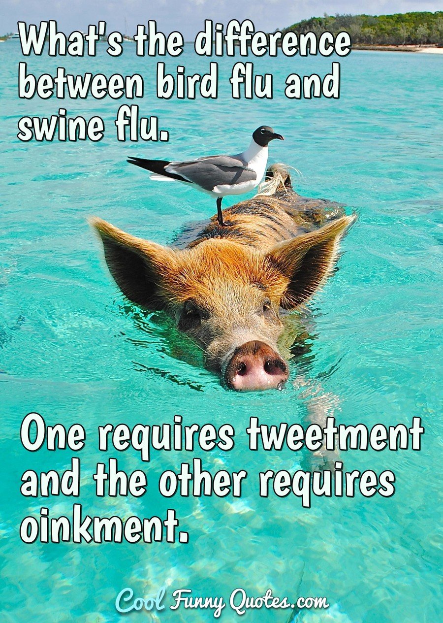 What's the difference between bird flu and swine flu. One requires