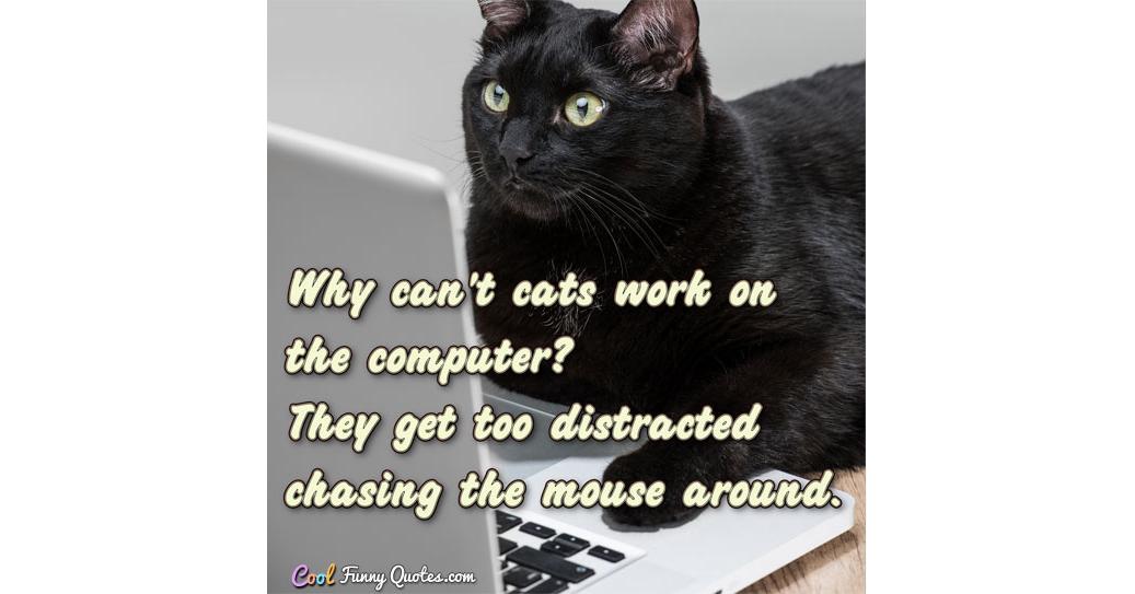 A mouse is than a cat. Working Cat. Кошка на работе. Quotations about Cats. The Cat is a worker.