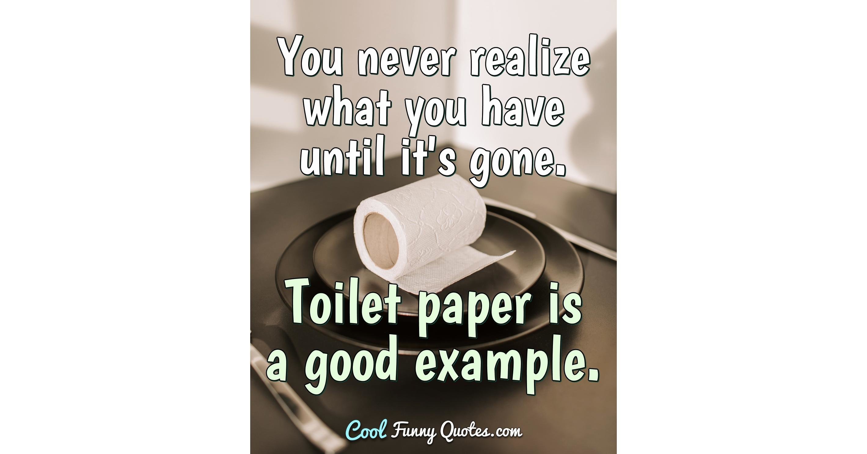 You never realize what you have until it's gone. Toilet paper is a good ...