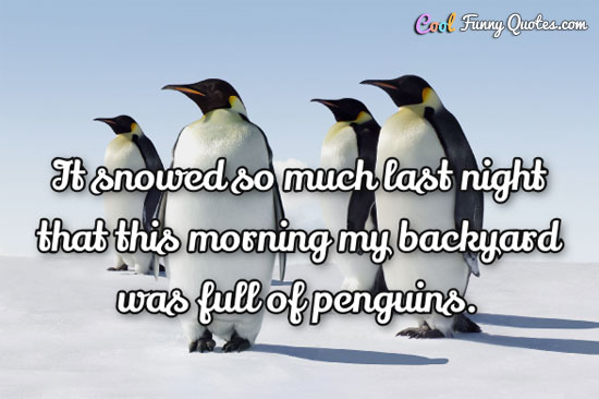 It snowed so much last night that this morning my backyard was full of penguins.