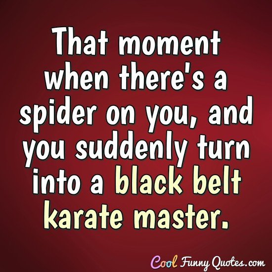 That moment when there's a spider on you, and you suddenly turn into a black belt karate master. - Anonymous