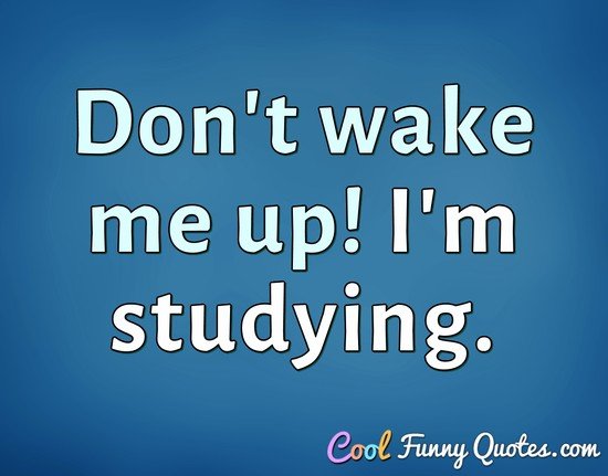 Don't wake me up! I'm studying. - Anonymous