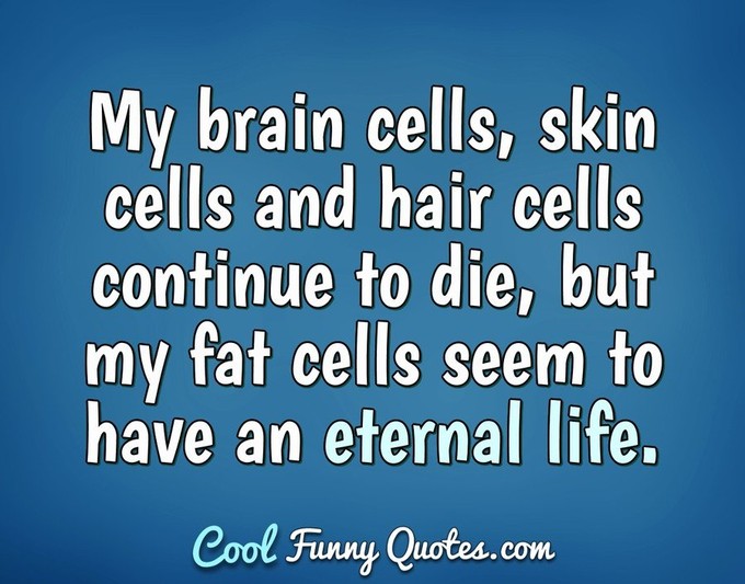 Diet quotes funny