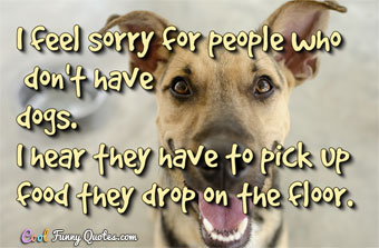 dog quotes funny dog quotes funny