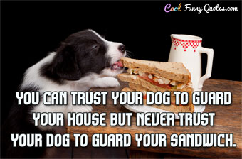 t-trust-dog-sandwich.jpg
