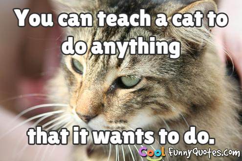 You can teach a cat to do anything that it wants to do.