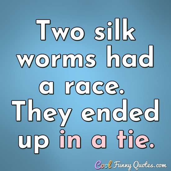 Two silk worms had a race.  They ended up in a tie. - Anonymous
