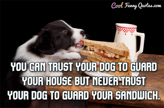 You can trust your dog to guard your house.