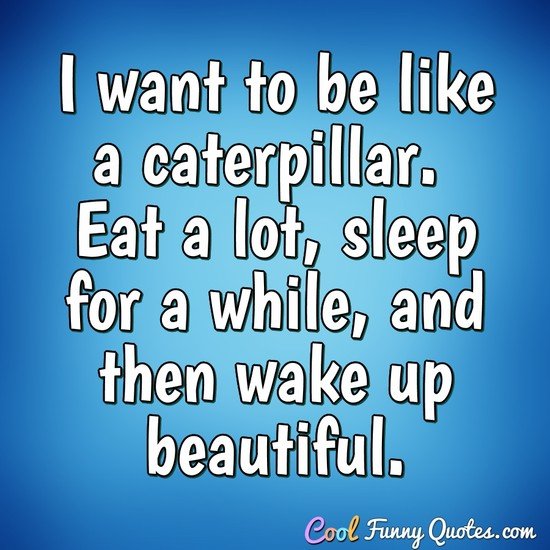 Sleep Quotes Cool Funny Quotes