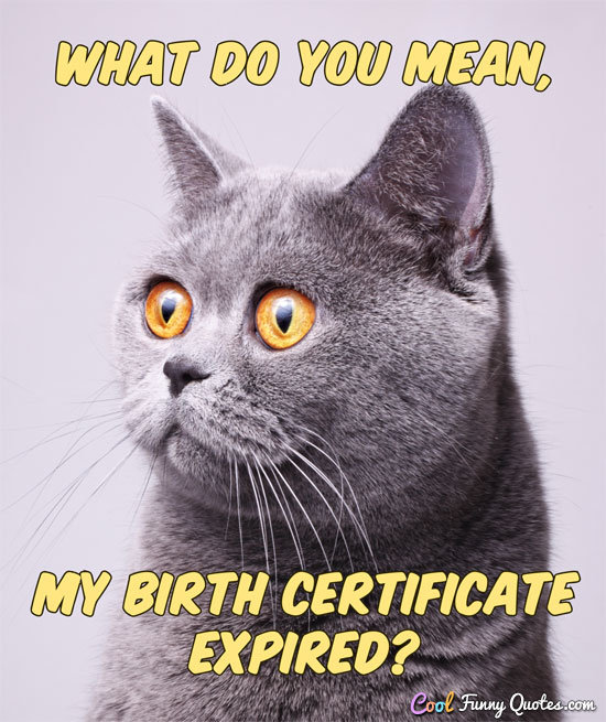 What do you mean, my birth certificate expired? - Anonymous